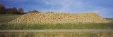 Heap of Sugar Beets in a Field  Stuttgart  Baden-Wurttemberg  Germany