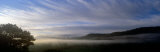 Silhouette of a Tree  Keswick  Lake District  England  United Kingdom