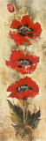 Strand of Poppies I
