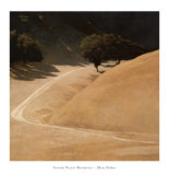Sonoma Valley Backroad