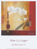 Orchid Lines II