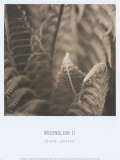 Moonglow II