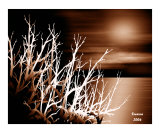 abstract 62