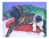 Mastiffs On The Couch