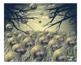 eggs