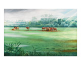 horses in the morning