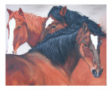 Wild horses  Against the Wind