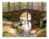 Placid Pool