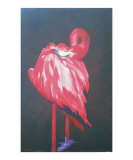 Flamingo night