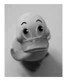 Just Duckie