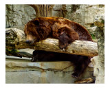 Just Relax