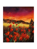 red poppies 56