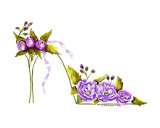 Begonias stiletto