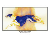 Borzoi Blue Flight
