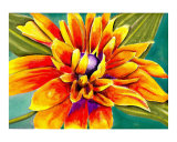 A SUNFLOWER