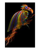 Fractal - Bird