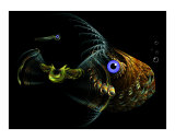 Fractal - Fish