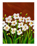 White Flowers in the Evening