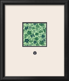 Spring Flowers Green