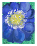Blue Flower
