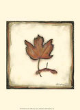 Fall Color II
