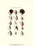 Trout Flies II