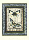 Butterfly Fancy I