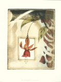 Secret Garden III