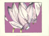 Cyclamen I