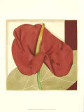 Anthurium Elegance IV
