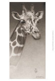 Jean  the Giraffe