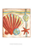 Pop Shells II