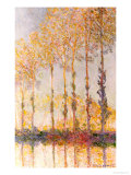 Poplars on the Banks of the Epte  1891