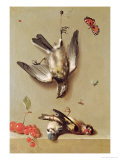Still Life of Dead Birds and Cherries  1712