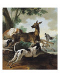 A Deer Chased by Dogs  1725