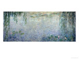 Waterlilies: Morning with Weeping Willows  Detail of the Central Section  1915-26