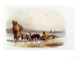Dog Sledges of the Mandan Indians