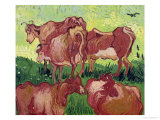 Cows  c1890