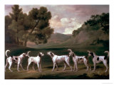 Foxhounds in a Landscape  1762