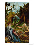 St Anthony and St Paul  Detail from the Isenheim Altarpiece  circa 1512-16