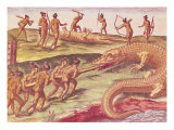 Hunting Crocodiles  from "Brevis Narratio"  Published by Theodore de Bry  1591