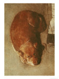 The Hurdy Gurdy Player with His Dog  circa 1620