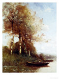 Morning Effect  Silver Birches and a River