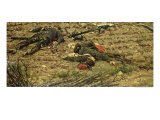Episode of the War of 1870