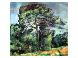 The Large Pine  circa 1889