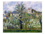 The Vegetable Garden with Trees in Blossom  Spring  Pontoise  1877