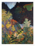 Landscape