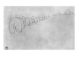Theory of Elephants  1896