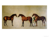 Whistlejacket and Two Other Stallions with Simon Cobb  the Groom  1762