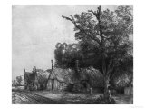 Landscape with Three Cottages  1650